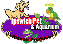 Ipswich Pet and Aquarium
